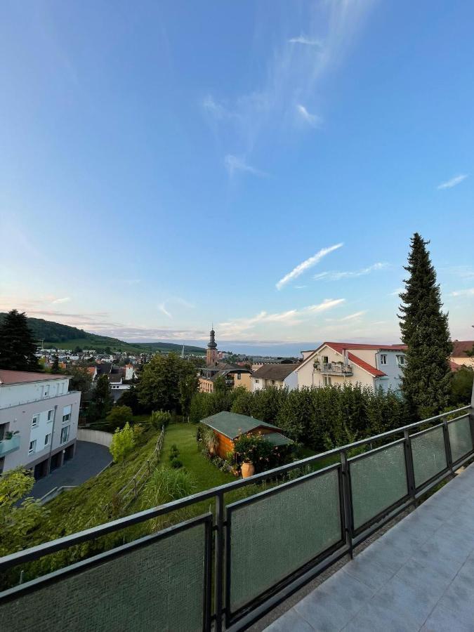Apartment Panoramablick Bad Bergzabern
